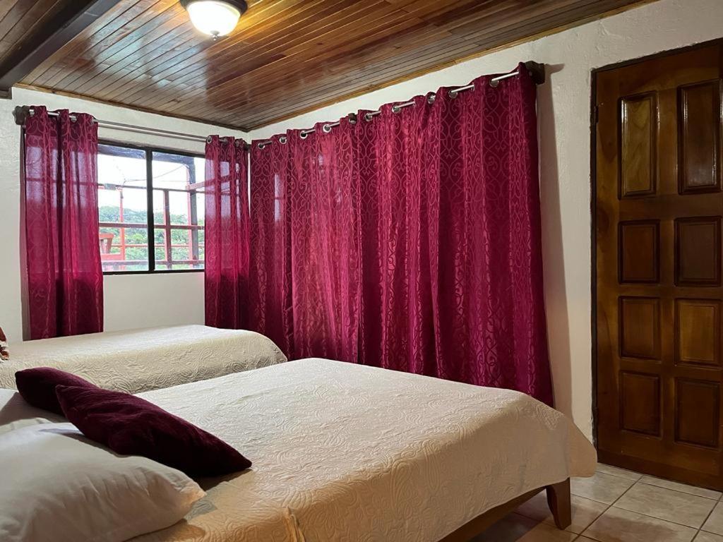 Monteverde Monkey Hostel Luaran gambar