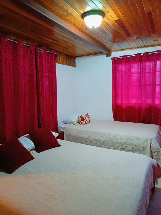 Monteverde Monkey Hostel Luaran gambar
